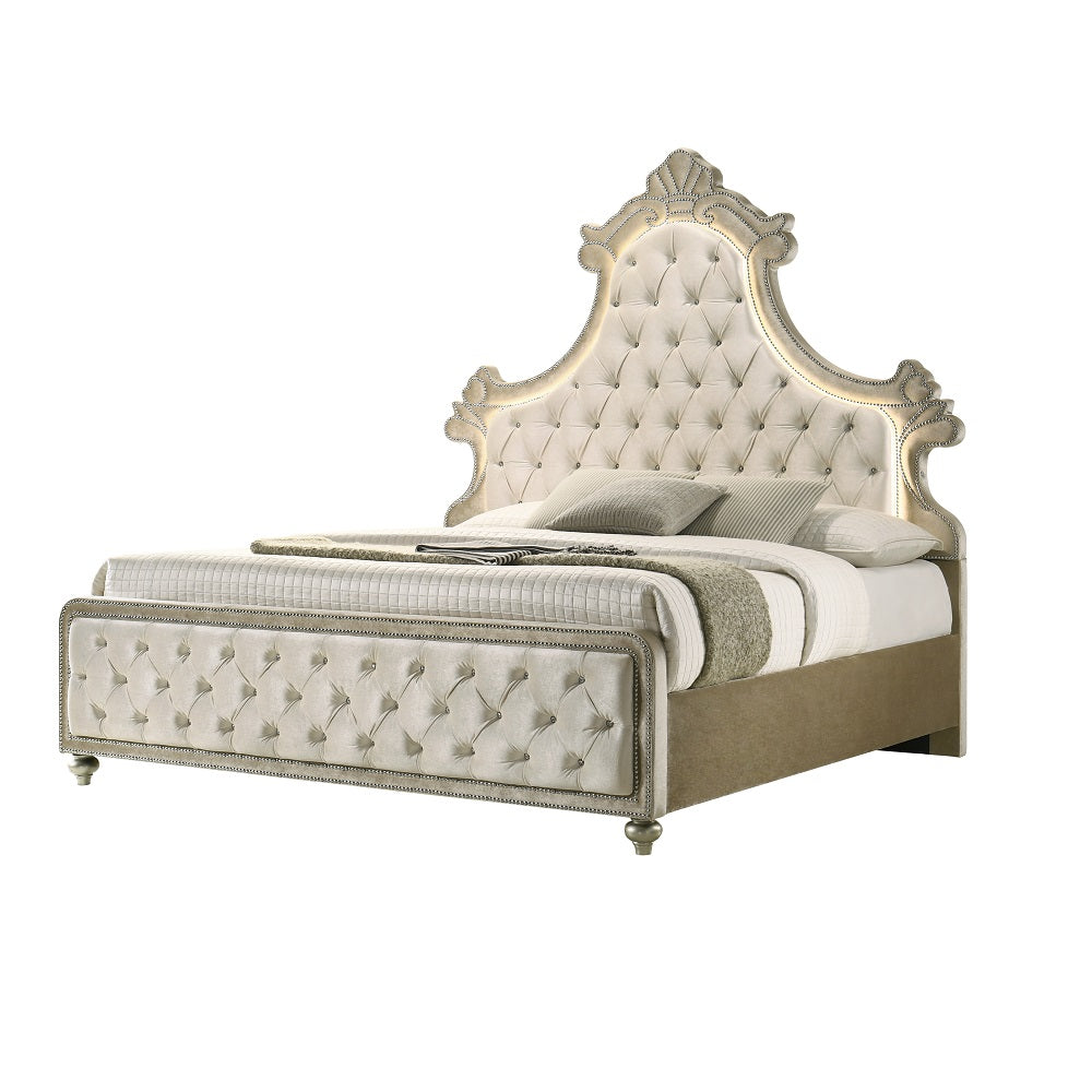 Lucienne Bedroom Set, Arched Panel Bed, Fully Upholstered in Beige Velvet