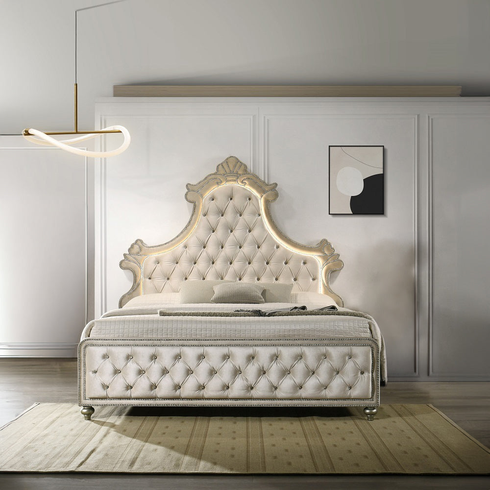 Lucienne Bedroom Set, Arched Panel Bed, Fully Upholstered in Beige Velvet